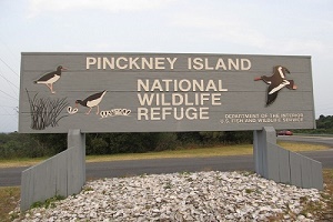 Pinckney Island National Wildlife Refuge